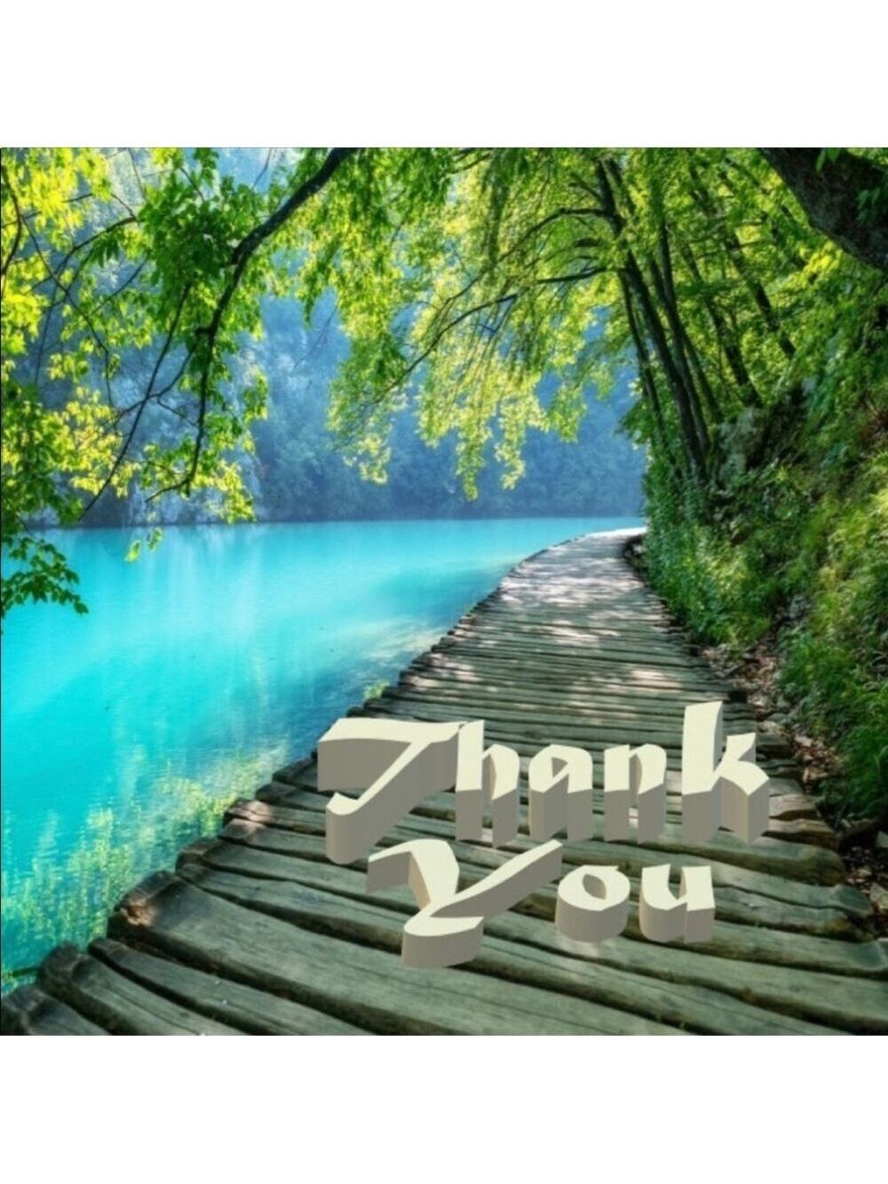 100 (2x2 Inch) Square Stickers, Plitvice Lake, Full Color, High Gloss, Thank You - Picture 2 of 2